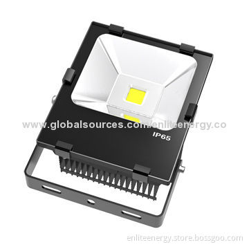 50W LED Floodlight